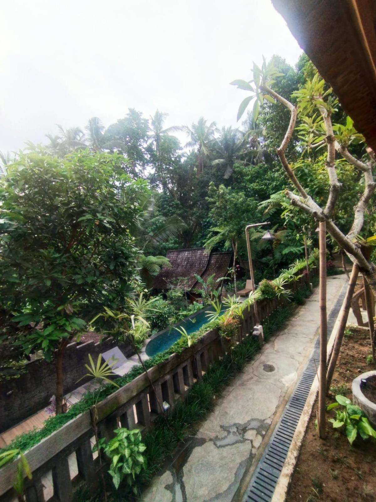 Sweet Orange Ubud